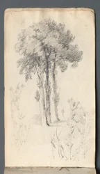Szkicownik: Studium drzew, 1814.