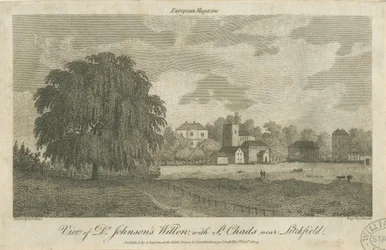 Lichfield - Wierzba „Dr. Johnsona”: grawerowanie, bd [c 1804]