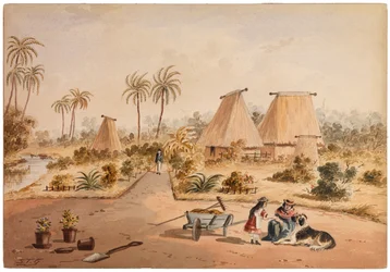 Gospodarstwo, Savu Bay, Fidżi, 1870