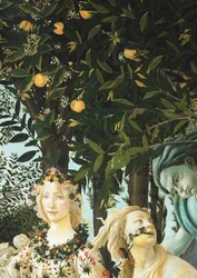 Flora, Zephyrus i Cloris, fragment z Alegorii wiosny (Primavera), ok. 1900. 1477-1482 (tempera na drewnie)