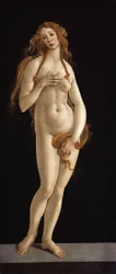 Venus Venus