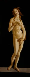Wenus Pudica, ok. 1485-1490.