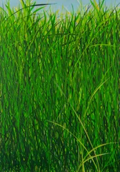 Summer Grass, 2020 (akryl na płótnie)