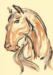 Majestatyczny profil konia