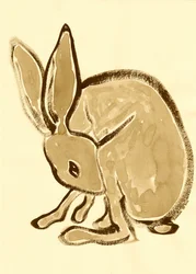 Cichy leśny królik