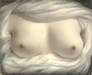 Ujawnione piękno, 1828