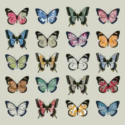 Papillon, 2008 (cyfrowy)