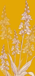 Pajęcza orchidea, 2017