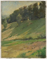 Widok z Llandrindod Wells: The Upper Link, ok. 1900 r. (obraz)