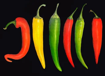 Pięć papryczek chilli, 2024 (olej na płótnie)