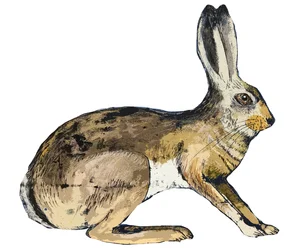 Zając, 2024 (monoprint)