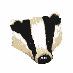 Borsuk, 2018, (rysunek cyfrowy)