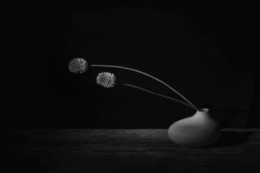 Elegancka martwa natura kwiatowa