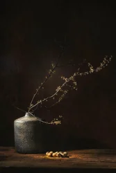 Nastrojowa botaniczna martwa natura