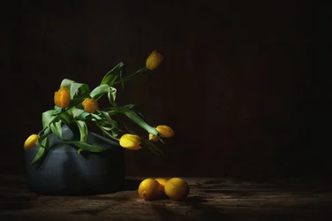 Nastrojowa martwa natura z żółtymi tulipanami