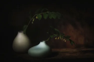 Pogodne botaniczne martwe życie