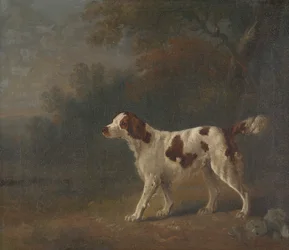 Um setter na borda de um polidor de madeira