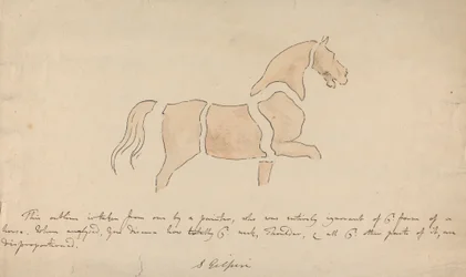 Polidor Desproporcionado para Desenho de Cavalo