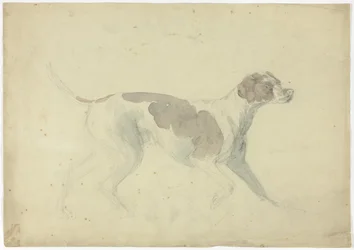 Fox Hound (recto); Szkice konia i jeźdźca (verso)