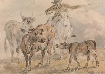 Homem a cavalo pastoreando duas vacas e um polidor de bezerros