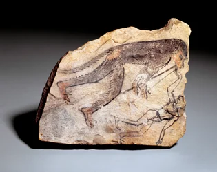 Postać Ostrakona: małpa grająca na podwójnym flecie (aulos), aby mężczyzna tańczył. Ze stanowiska Deir el-Medineh (wapień, ok. 1295-1186)