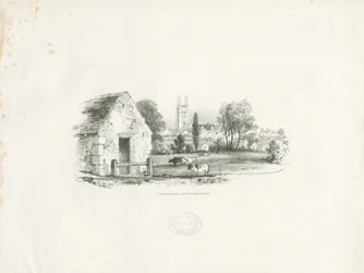 Tamworth: litografia (winietowana)