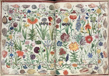 Strony z albumu Amicorum Philippa Hainhofera