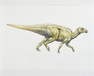 Hadrozaur lub dinozaur kaczodzioby (kolor lito)