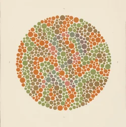 Test kolorów Ishihary do wykrywania ślepoty barw. (color litho)