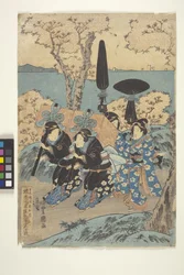 Toto: Oglądanie kwiatów w Gotenyama