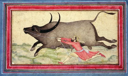 Runaway Buffalo, Johnson Album XIV, nr 11, verso, ok. 1700 (kolorowy rysunek na okładce albumu)