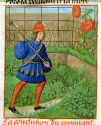 Harl 4425 f.184v Kochanek zdobywa różę, z „Roman de la Rose”, Brugia, ok. 1490-1500 (welum)