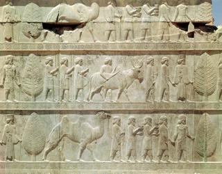 Fragment płaskorzeźbionego fryzu na wschodnich schodach prowadzących do Apadany (sali audiencyjnej) przedstawiający delegatów z podległych ziem imperium niosących hojne prezenty na ceremonię, okres achemeński, ok. 515 r. p.n.e. (wapień)