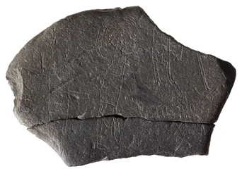 Kamień zakładnika, z wczesnośredniowiecznego klasztoru na wyspie, Inchmarnock, Bute, Szkocja, ok. VIII-IX w. n.e. (łupek)