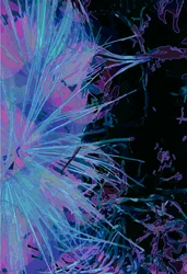 Karczoch_abst_vert1 (cyfrowy)