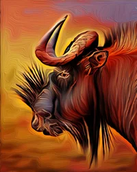 Gnu czarne, 2021