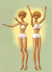Mineola Twins