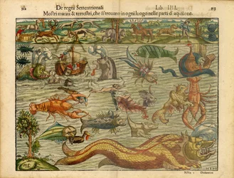 Potwory z morza i lądu... (Monsters of Sea  Land...)
