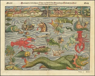 Mapa potworów lądowych i morskich autorstwa Sebastiana Munstera z ok. 1570 r.