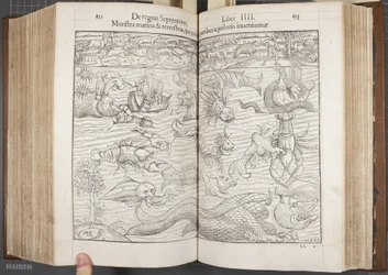 Kosmografia, Fol 852-853, 1544