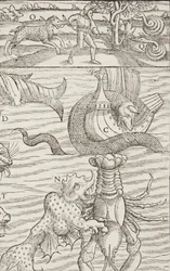 Kosmografia, Fol 853, 1544