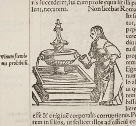 Kosmografia, detal Fol 202