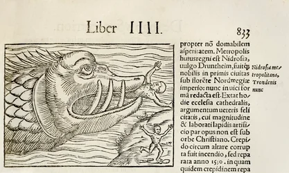 Wieloryb potworny pożerający ludzi, z wydania „Cosmographia” Sebastiana Munstera z 1550 r. (drzewryt)