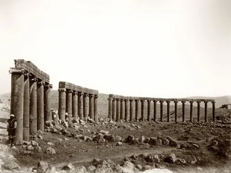 Owalny plac kolumnowy od północnego zachodu, Jerash, 1867