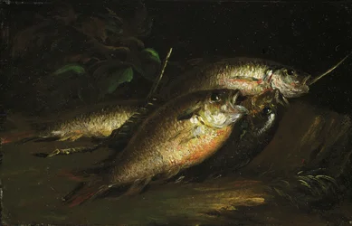 Ryba, 1842.