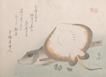 Stingray i Gurnard, prawdopodobnie 1815., prawdopodobnie 1815.