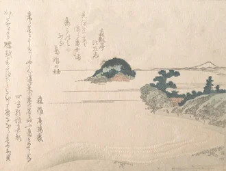 Wyspa Żółwi i Fujiyama, XIX w., XIX w.