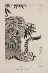 Tiger (kolorowy drzeworyt)