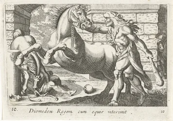 Hercules temt de paarden van Diomedes Król Diomedes z końmi (tytuł na obiekcie) Herculische tematu (tytuł serii)