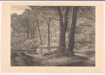 Widok Hunnenschans na Veluwe Hunnenschang (tytuł oryginalny)